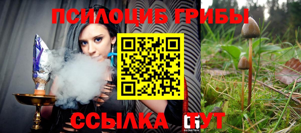 Псилоцибиновые грибы мицелий  Псилоцибиновые грибы Psilocybine cubensis  Вход с VPN  Орск 