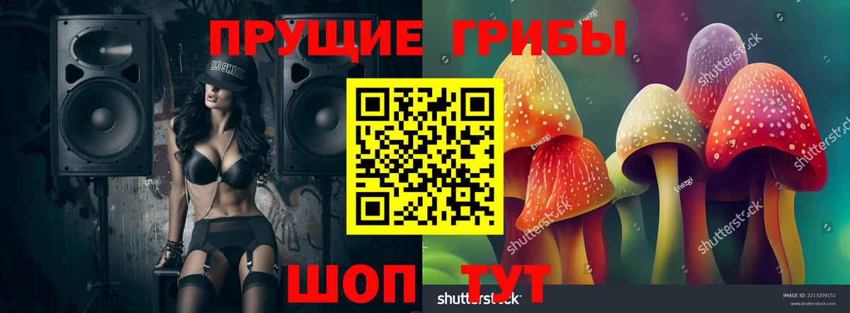Псилоцибиновые грибы GOLDEN TEACHER Орск